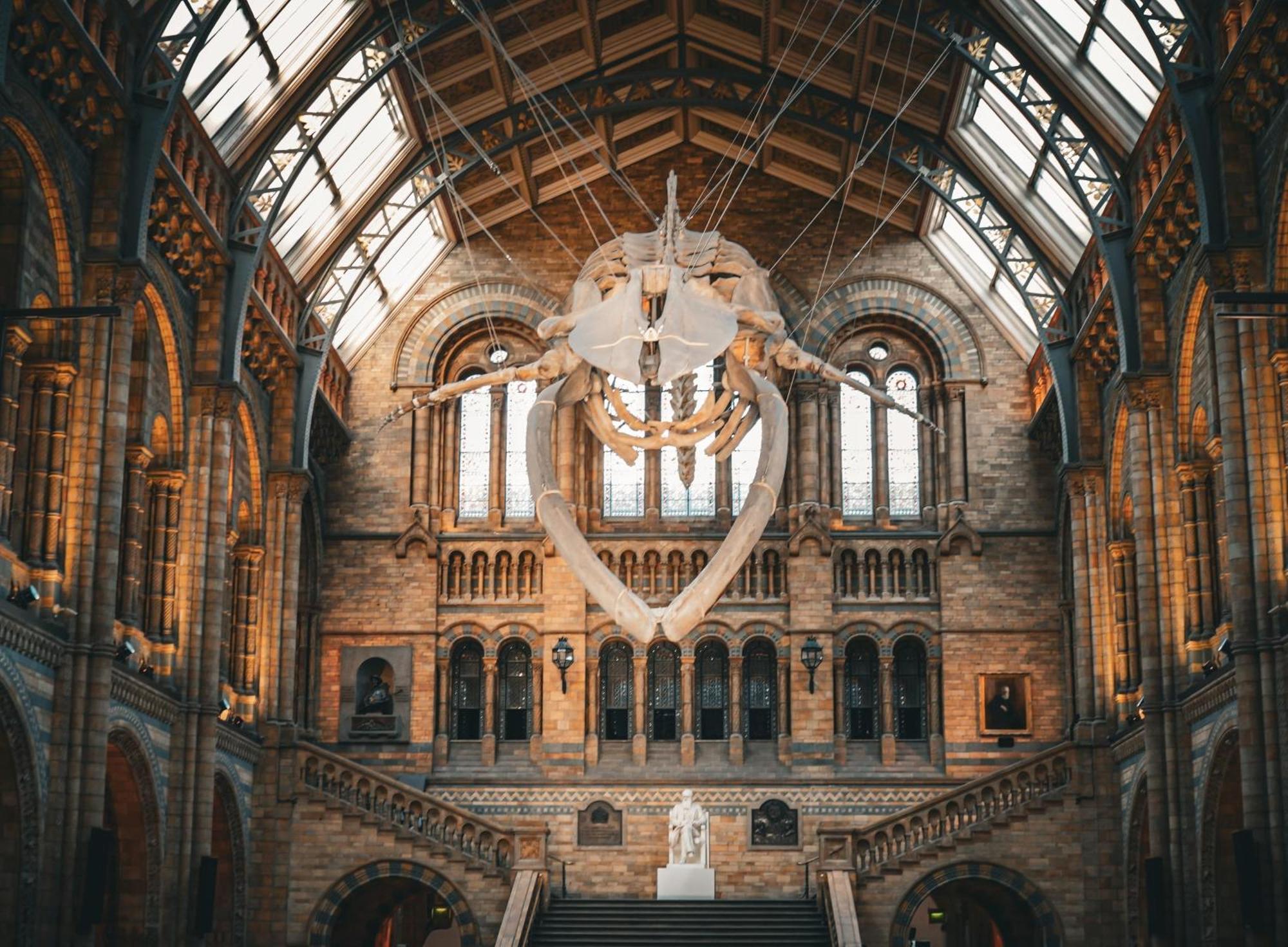Collingham Place Apartments London Kültér fotó